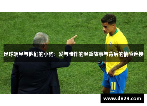 足球明星与他们的小狗：爱与陪伴的温馨故事与背后的情感连接