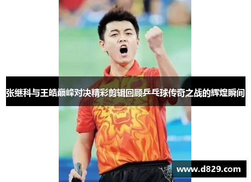 张继科与王皓巅峰对决精彩剪辑回顾乒乓球传奇之战的辉煌瞬间